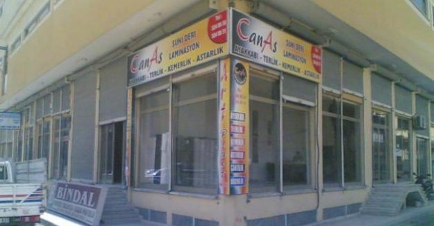 Vinil Germe1